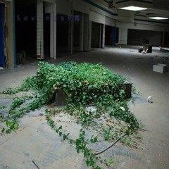 S e c o n d レベル