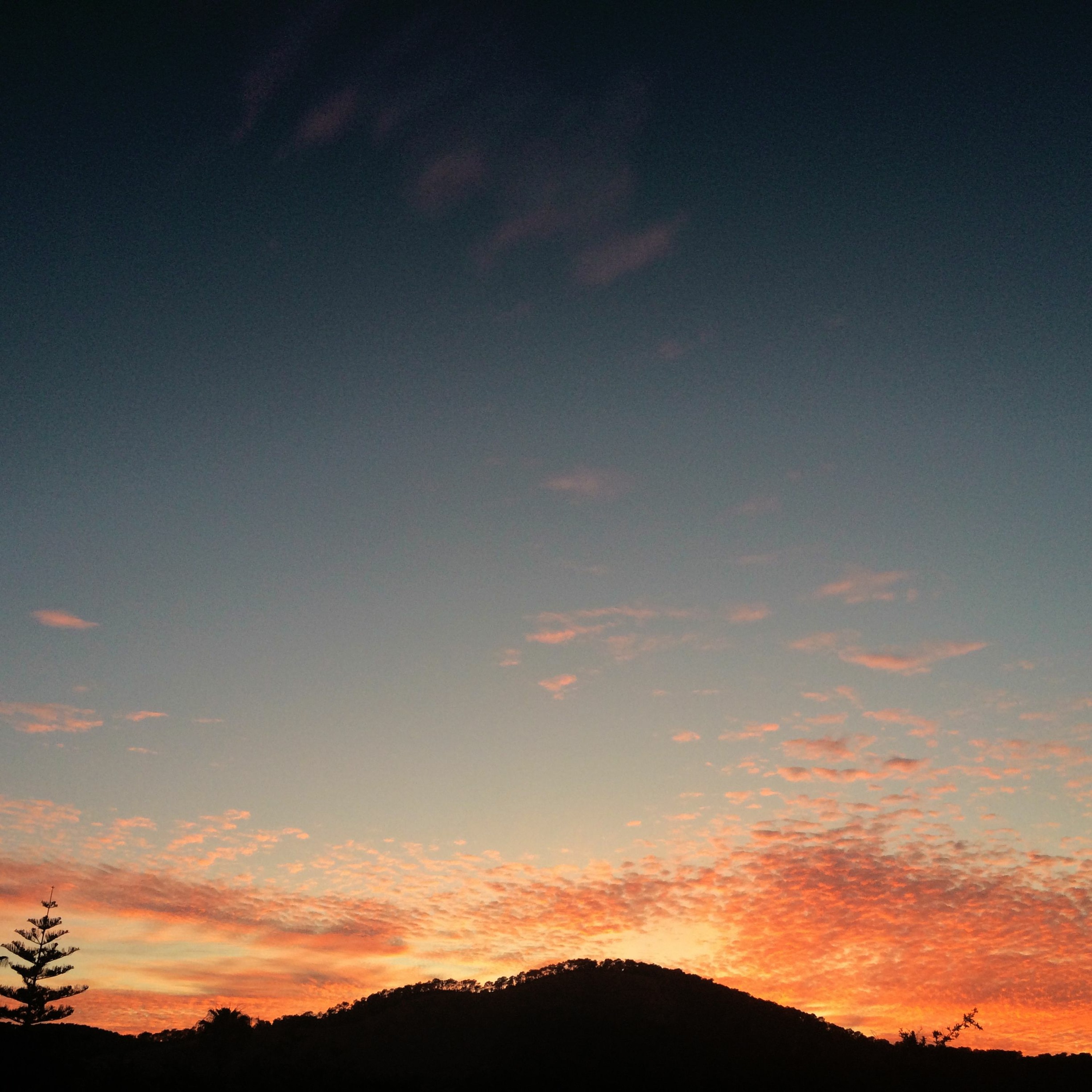 COLOURIZON