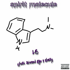 Spirit Molecule (Feat. Altered Ego &  Keraj)[Prod. Purple Six Beats]