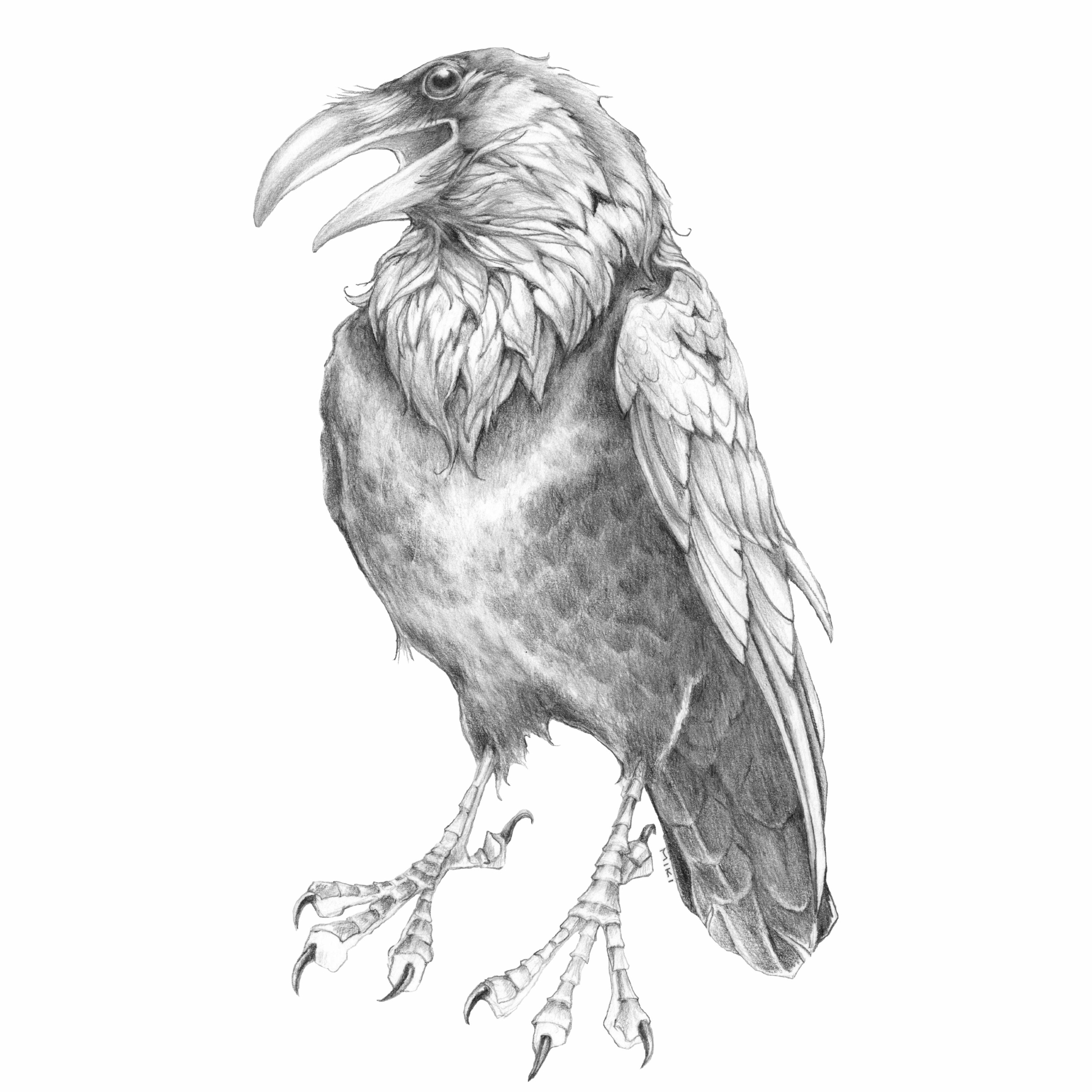 Raven Narratives