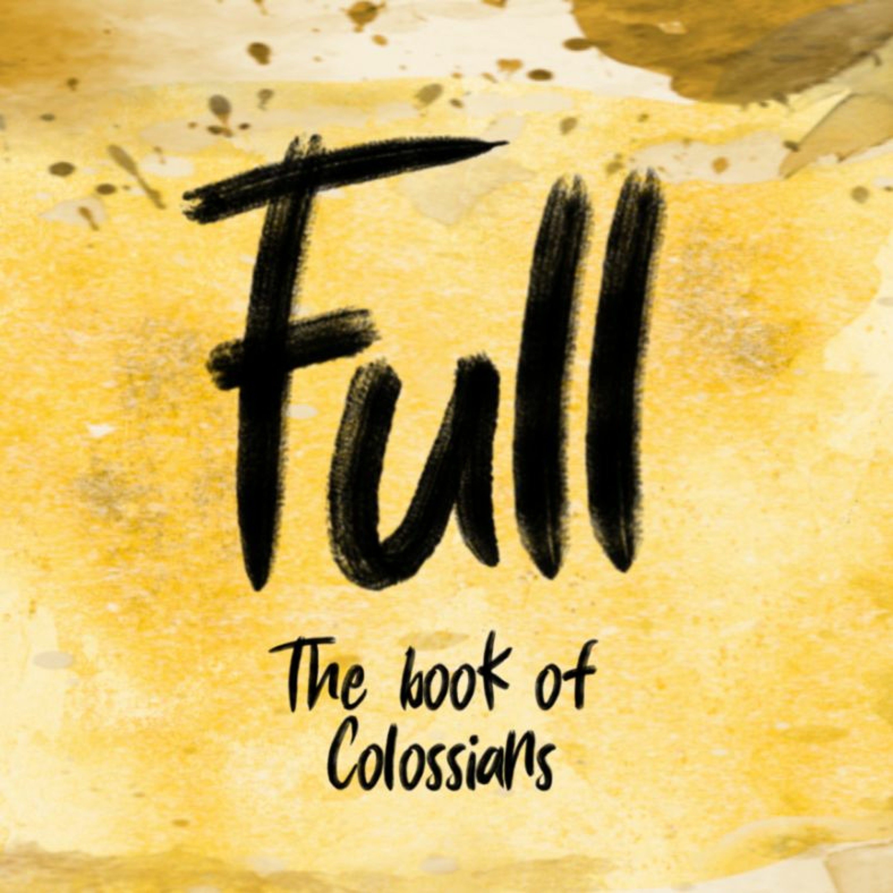 Full - Colossians - Colossians 1:24 -2:5 - Matthew Meek - 04/11/18 - 6pm episode artwork