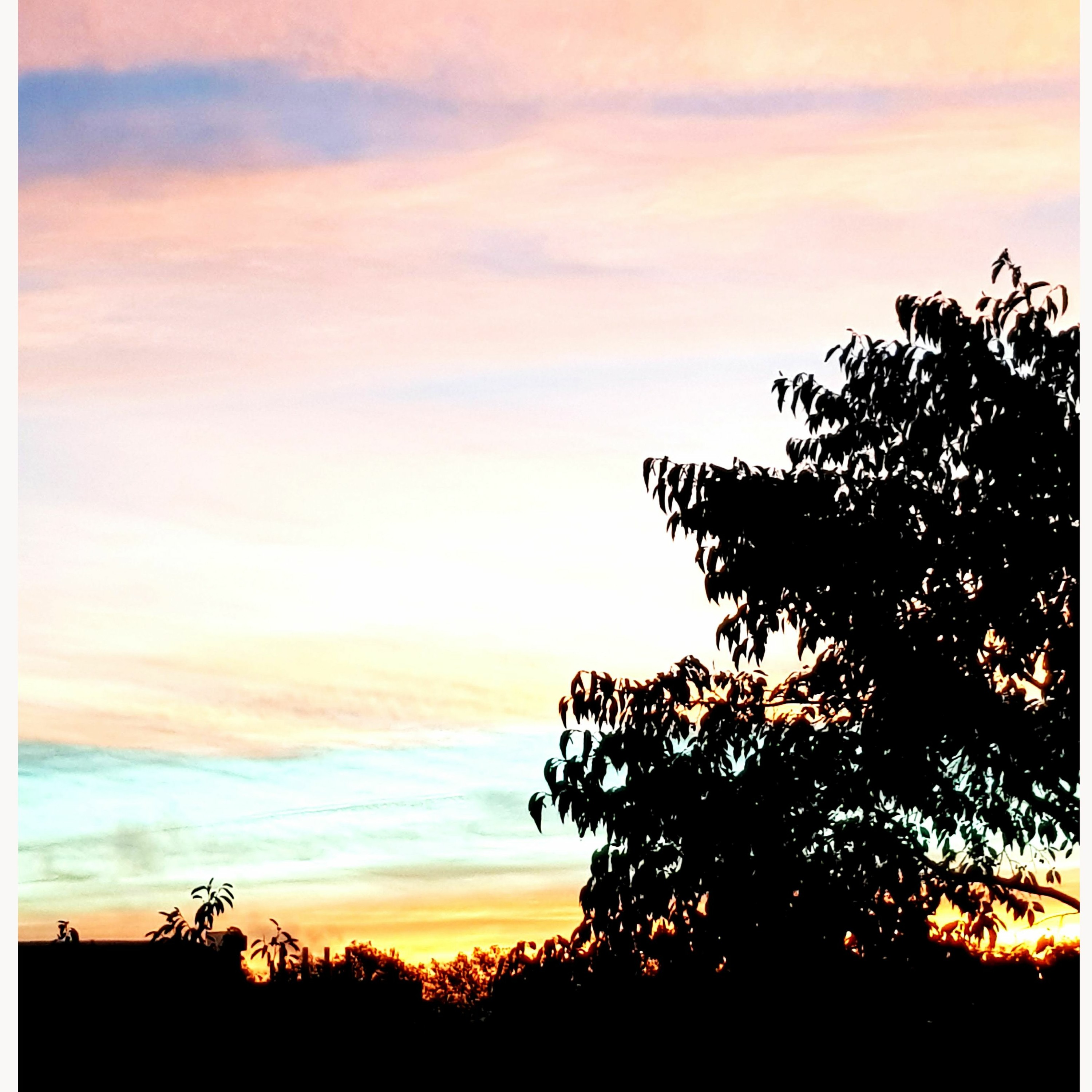 COLOURIZON