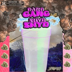 LOWC8 - Gang Shyd  [PROD. STONRSMURF]