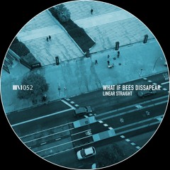 [ILM052] Linear Straight | What If Bees Dissapear (Original Mix)