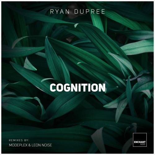 Ryan Dupree - In Search