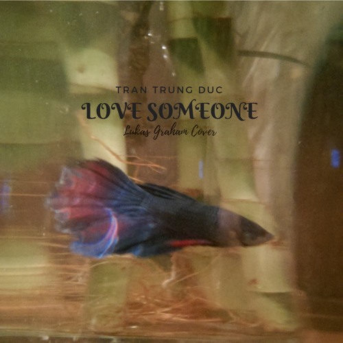 Tran Trung Duc Love Someone Lukas Graham Cover By Trann On