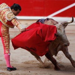 Spanish Matador