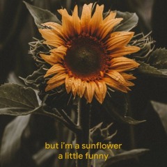 Sunflower by Sierra Burgess (Cover)