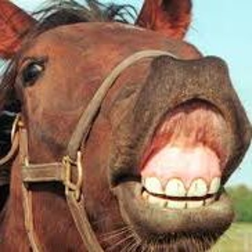 First Mix For All Those Dirty Jezzies Out There