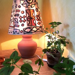 Var har du vart - Melody’s Echo Chamber