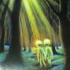 Dj Nicholas (MAGMA Rec) Dj Set - Forest Tracks Selected By Djane Edy