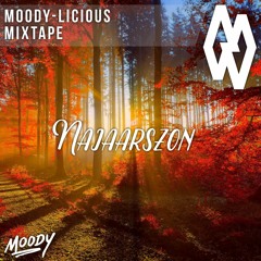 MM "Najaarszon" by Moody