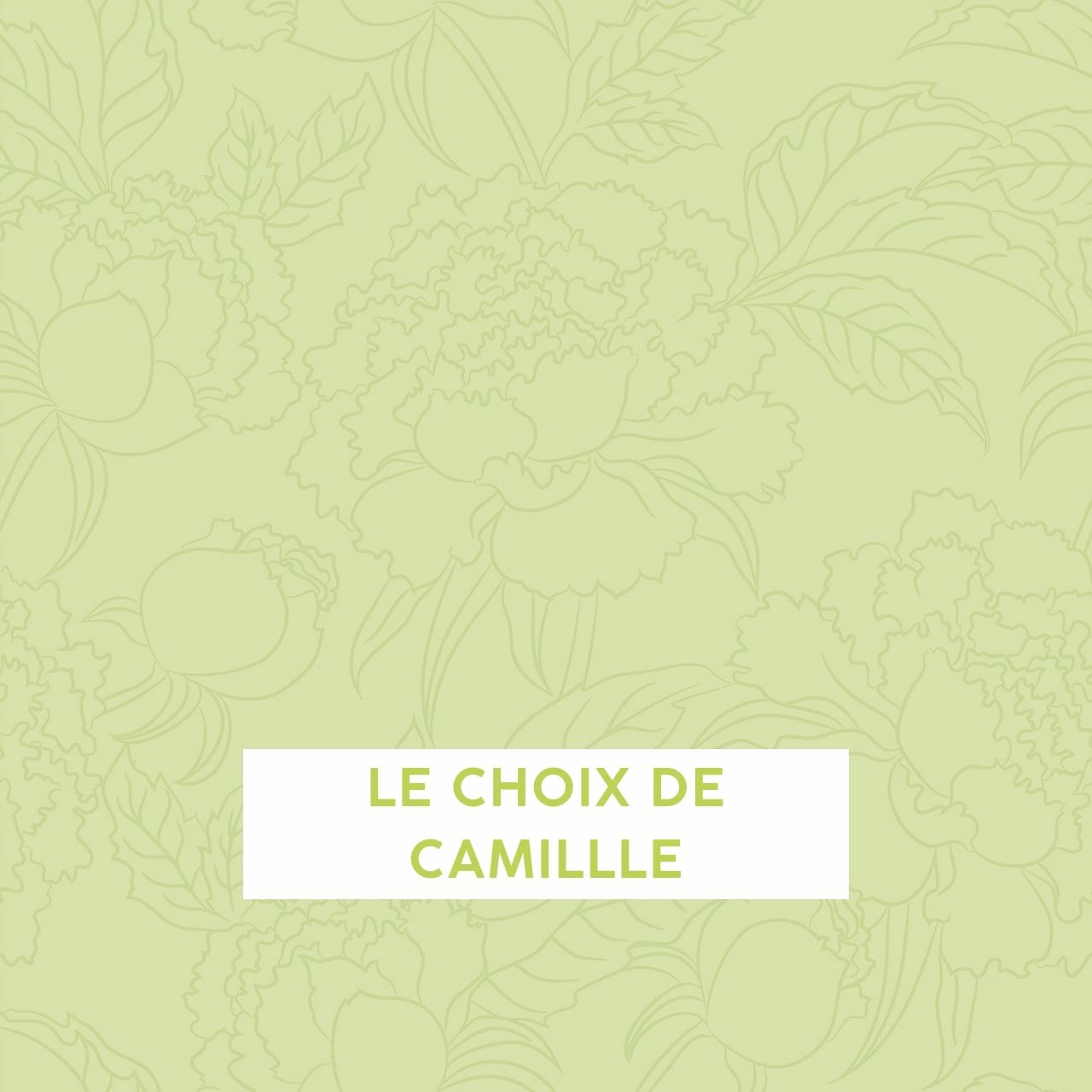 Le choix de Camille episode artwork