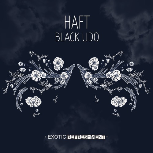 HAFT - Denic (Lukas Endhardt Acid Reflux) // Exotic Refreshment