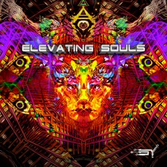 Spiritual Mind - Feel the Music [VA Elevating Souls by SY Records] OUT SOON!