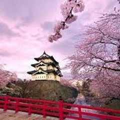 さよなら 大好き な 人 (Sayonara Daisuki Na Hito)