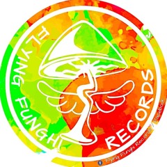 Flying Funghi Records & Friends Mix Set`s