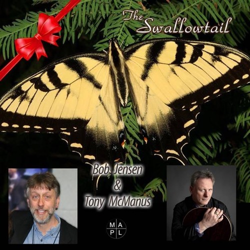 The Swallowtail - Bob Jensen & Tony McManus