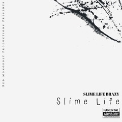 SlimeLifeBrazy -Slime Life