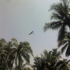 SKINOSKY OIO - THE SUICIDE OF THE HAWK (PROD. TXMEE)