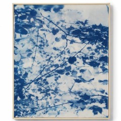 Breathing For Brenda