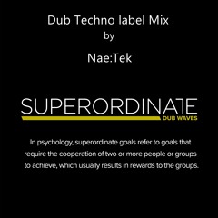 Dub Techno Label Mix ( Nae:tek Nov 2018 )