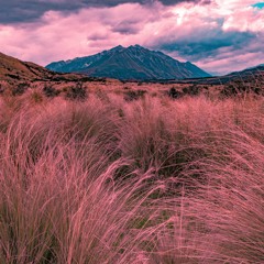 Feel So Close - Calvin Harris (Cover) Noah Edwards ft. Renn Madeline Bibeau