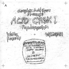 WeMe051 Ceephax Acid Crew  "Acid Cask 1" B1  Slimepit
