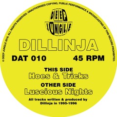 Dillinja - Hoes & Tricks - AA - DAT010 - low quality 128 clip