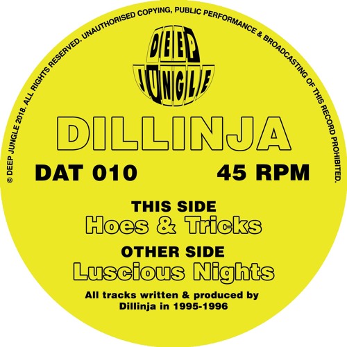 Dillinja - Hoes & Tricks - AA - DAT010 - low quality 128 clip