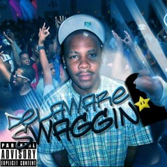 Delaware Swaggin