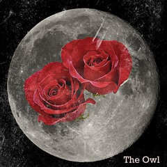The Owl