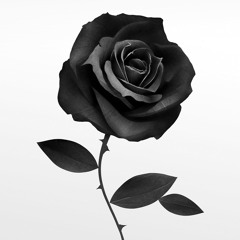 Black Roses (prod. Lucid Soundz)
