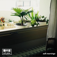soft mornings ep