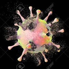 Virus EFE - Mundo Opuesto