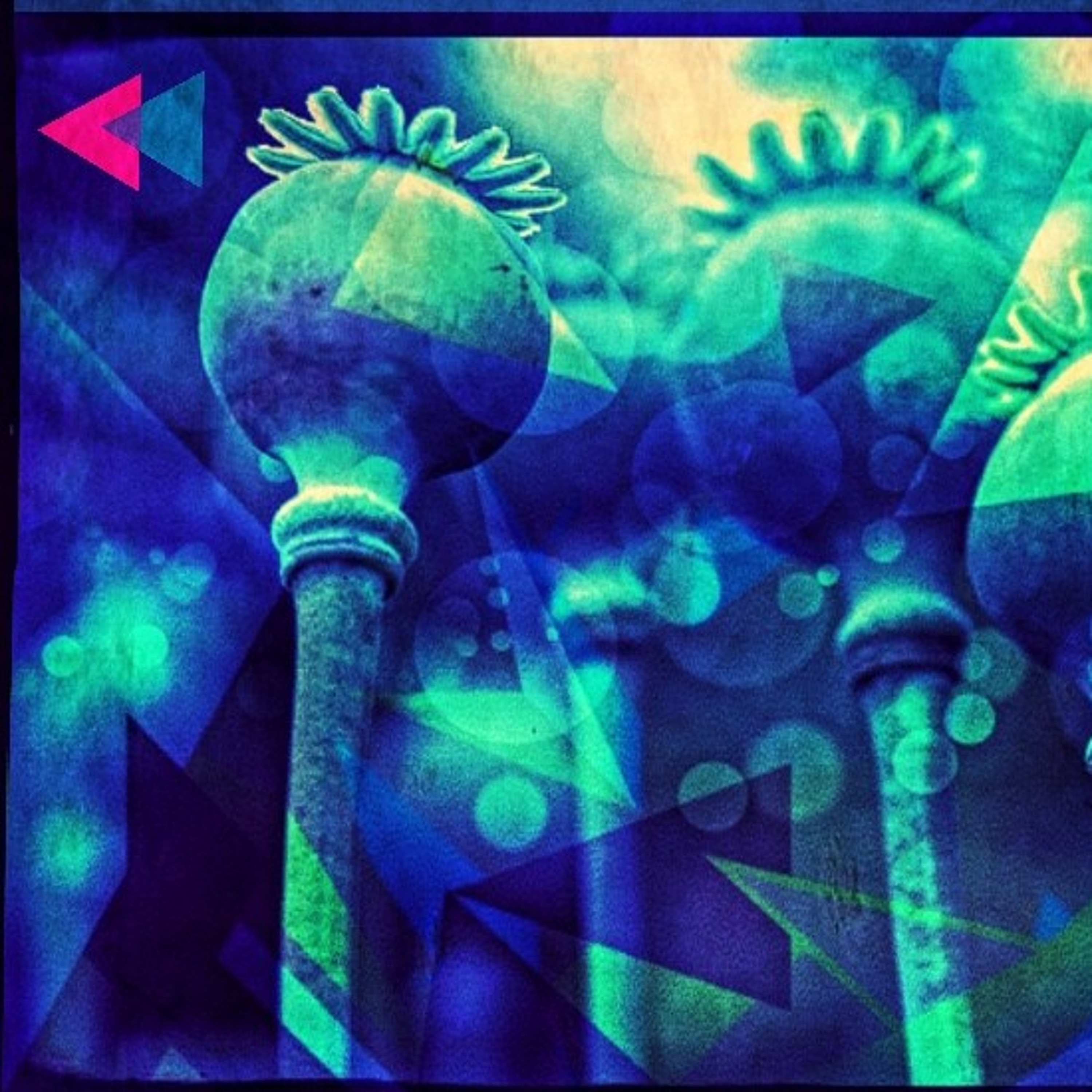 Blue Flowers episode artwork