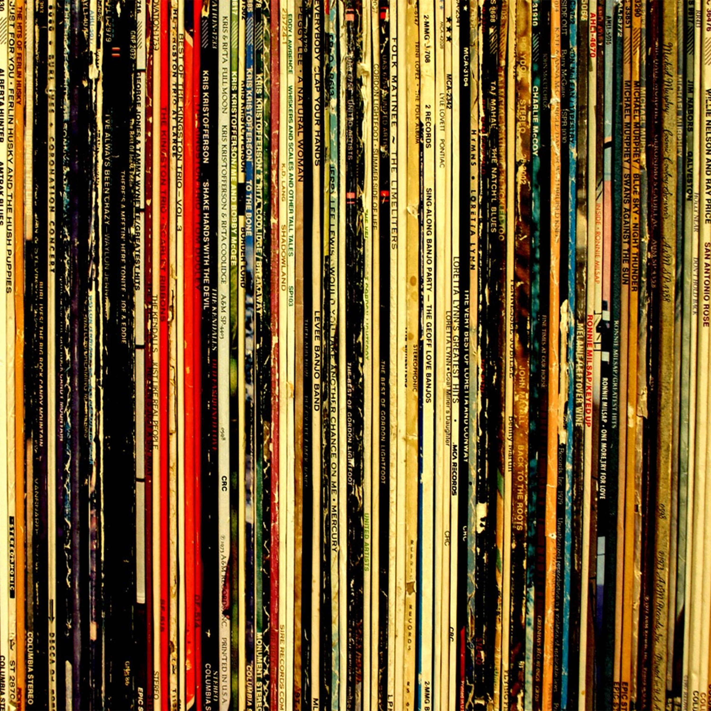 Don Phunk & Wu-Dee