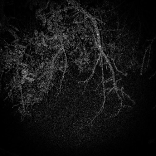 i spoke to the devil in miami instrumental slowed