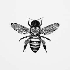 01 Techno Vibes DEBBIE HENDGES