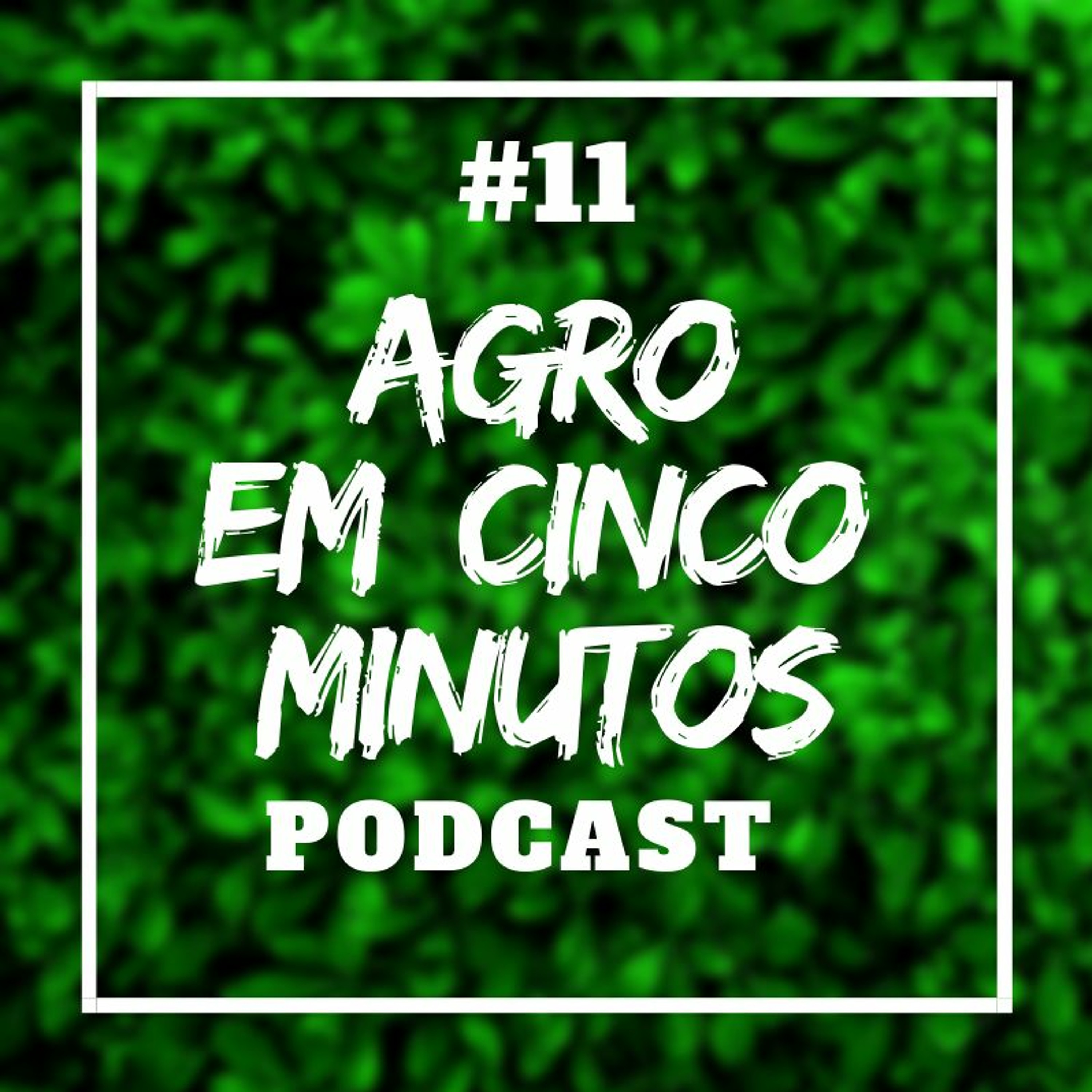 Agro em Cinco Minutos