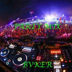 Party Mix - BVKER