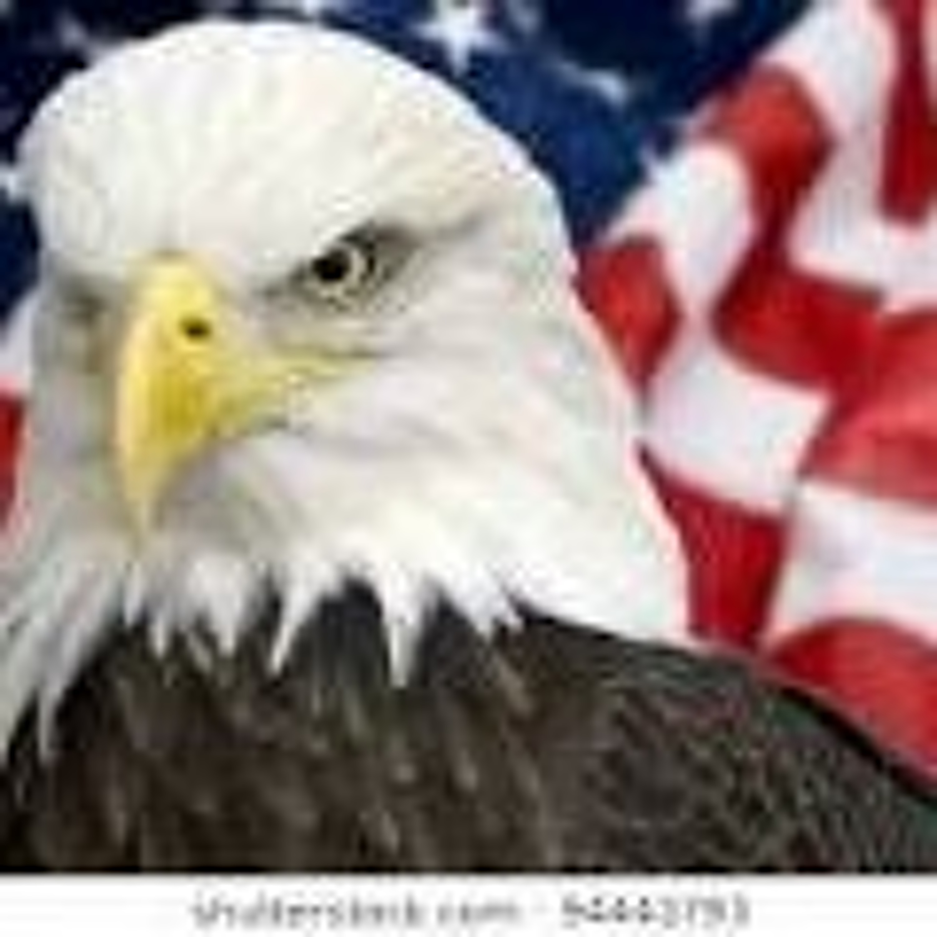 No Evil To Our Nation