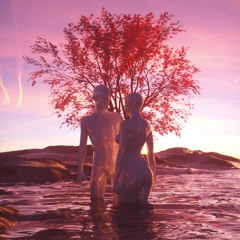 moment [ sophie meiers x unexotic ]