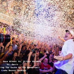 Fisher Feat. Dave Winnel Vs. Oliver Heldens Vs. Oasis  - We Are Losing The Gecko On The Wonderwall