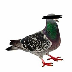 pidgin talk [DEMO]