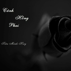 Cánh hồng phai