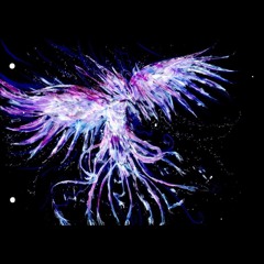 Dance Past Midnight