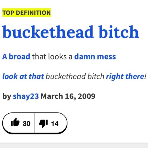 Buckethead Bitch (feat. T4) [Prod. By Matt Brick$]