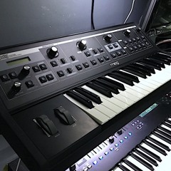 Moog Slim Phatty Polychain x3