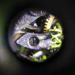 Climb Inside My Clock